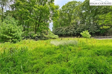 Lots 127, 128, 129 Cone Rd, Blowing Rock, NC 28605 - photo 7