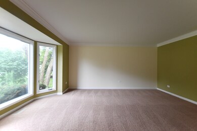 1036 Sheringham Dr, Naperville, IL 60565 - photo 3