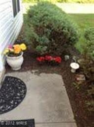 1636 Brooksquare Dr unit 69, Capitol Heights, MD 20743 - photo 6