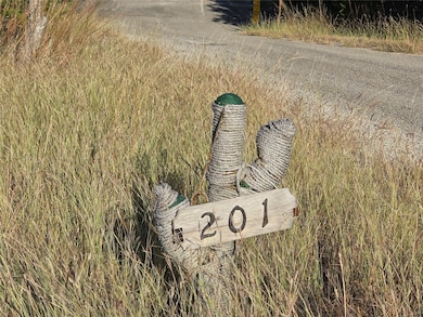 201 Sycamore Valley Rd, Dripping Springs, TX 78620 - photo 3