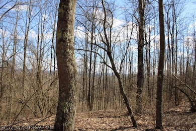 Lot 2 Sand Bank Heights Rd, Masontown, WV 26542 - photo 3