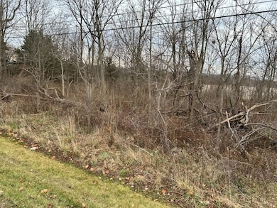 00 M-71, Durand, MI 48429 - photo 6