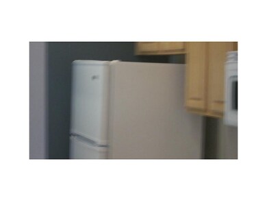 Kitchen. Stove,refrigerator,microwave,and dishwash