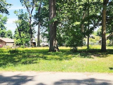 V/L 35 1 2 St, Paw Paw, MI 49079 - photo 2