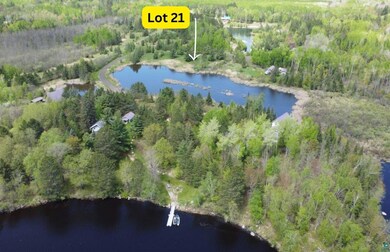 80048 Waters of Vermilion Rd unit Tamarack Trail, Greenwood Township, MN 55790 - photo 2