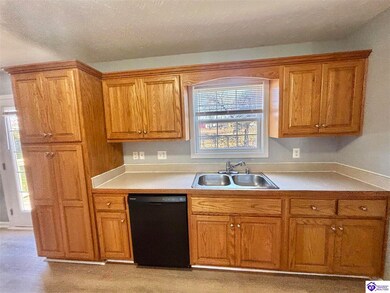 100 Rustic Haven Dr, Campbellsville, KY 42718 - photo 5