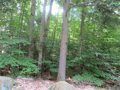 0 Acorn Ln unit 89-16 4814551, Moultonborough, NH 03254 - photo 5