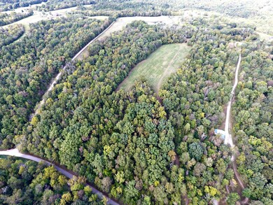 401 Olde Ashes Creek Rd, Bloomfield, KY 40008 - photo 6