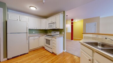 101 Eldredge St unit 204, South Burlington, VT 05403 - photo 5