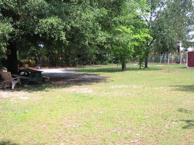 Back Yard1