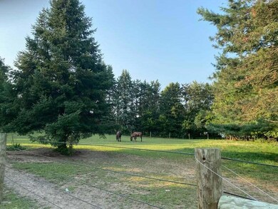 32707 Cr 687, Bangor, MI 49013 - photo 4