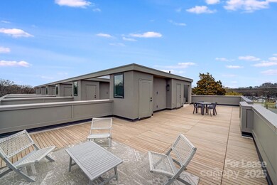 1213 E 36th St, Charlotte, NC 28205 - photo 4