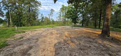 102 Owasso Trail, Bismarck, AR 71929 - photo 6