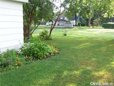 Yard