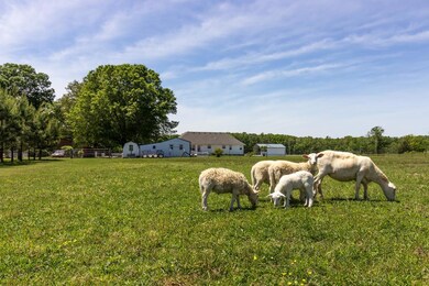 This mini farm is currently the home to sheep and miniature horse! Check out the Youtube link for an aerial video!