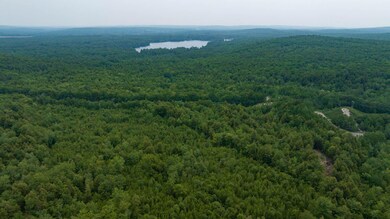 9 Hodgkin Rd, Gray, ME 04039 - photo 6