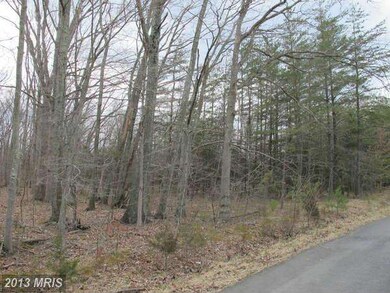 16523 Gaines Rd, Broad Run, VA 20137 - photo 6