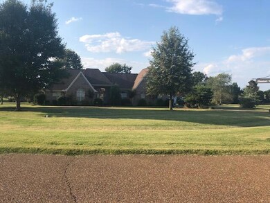 Frontyard