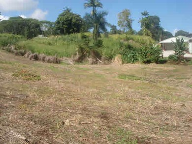 0 Mamalahoa Hwy, Hilo, HI 96720 - photo 5