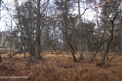 D1922 S Old Stage Rd, Penn Forest Township, PA 18210 - photo 3