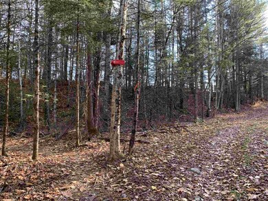 000 Vt Route 114, Burke, VT 05832 - photo 6