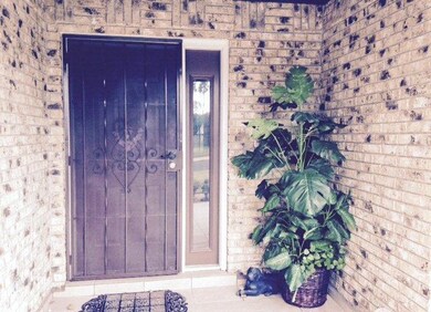 419 Diana Dr, Alamo, TX 78516 - photo 4