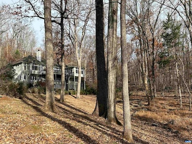 423 Foothills Dr, Nellysford, VA 22958 - photo 3