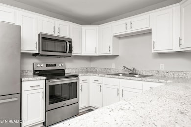 287 Watson Ave, Spring City, TN 37381 - photo 6