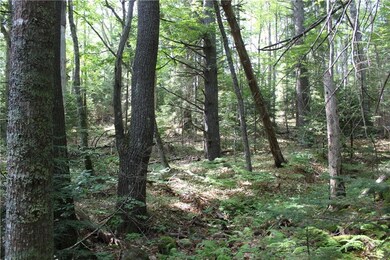 The land is entirely wooded