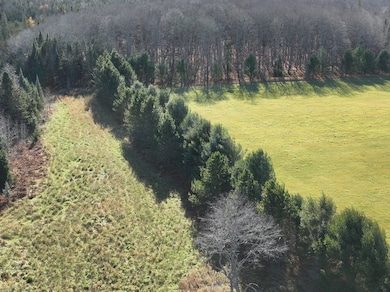 Eben-Trenary Road Lot unit WP001, Trenary, MI 49891 - photo 7