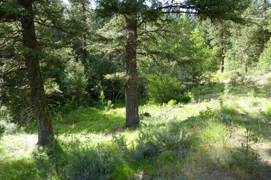 9 Three Point Rd unit 4, Cascade, ID 83611 - photo 3