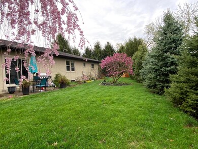 Backyard- Spring/Summer