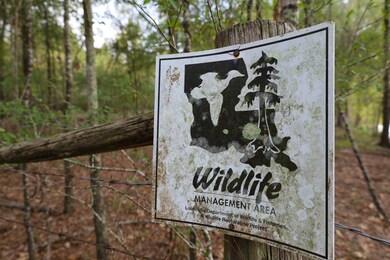 TBD Puckett Bend Rd, Columbia, LA 71418 - photo 4