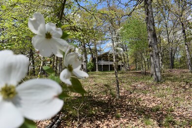 566 Peninsula Estates Ln, Kimberling City, MO 65686 - photo 3