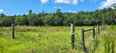 5050 Batavia Way, Wagener, SC 29164 - photo 3