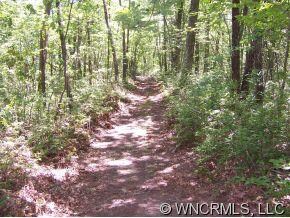 Level path to view