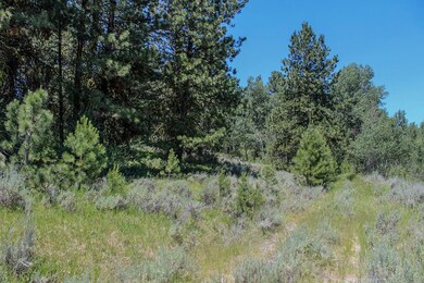 Pine, Aspen, Firs, Grass & Sage