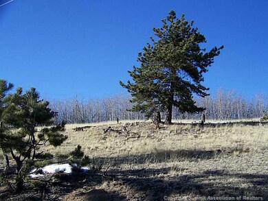 203 Falcon Rd, Como, CO 80432 - photo 5