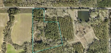 000 Doe Hill Rd, Poulan, GA 31781 - photo 3
