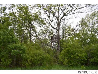 Land Tree Stand