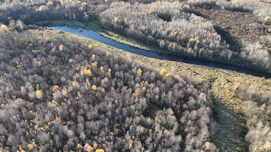 20 acres Old 17 Rd, Schley, WI 54452 - photo 2