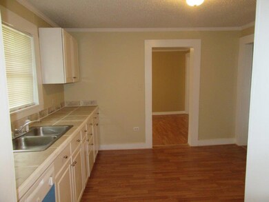 Kitchen View 4