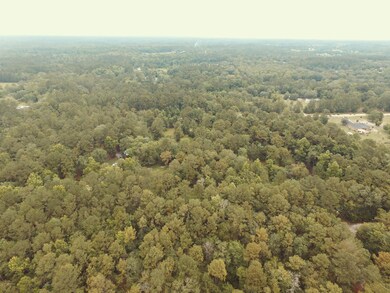 0000 Lightning Ln, Middleburg, FL 32068 - photo 2