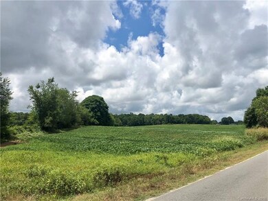 000 Mcmanus Rd, Midland, NC 28107 - photo 5