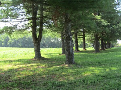 1095 Hwy 33 S unit B, Harrodsburg, KY 40330 - photo 7