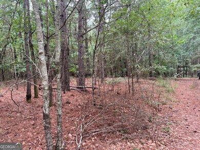 1383 Sims Rd SE, Winder, GA 30680 - photo 5