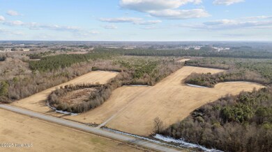 Tbd Wollett Mill Rd, Battleboro, NC 27809 - photo 5