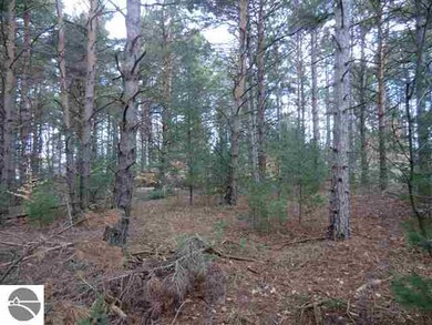 0 Brook Ave unit 1785391, Kaleva, MI 49645 - photo 2