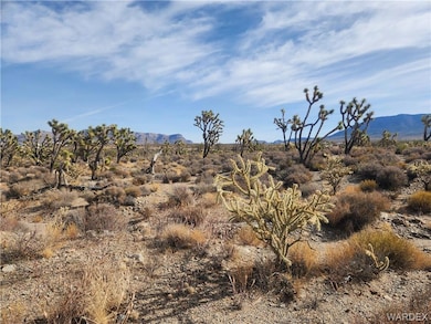 26461 Tamarisk St, Meadview, AZ 86444 - photo 2
