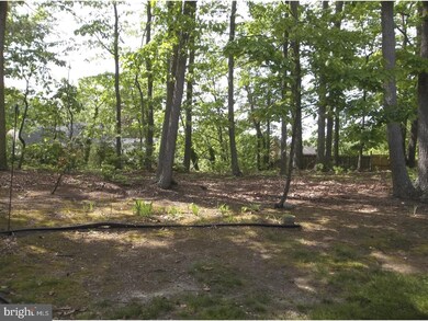 5 Button Gwinett Bldg unit 5, Blackwood, NJ 08012 - photo 5